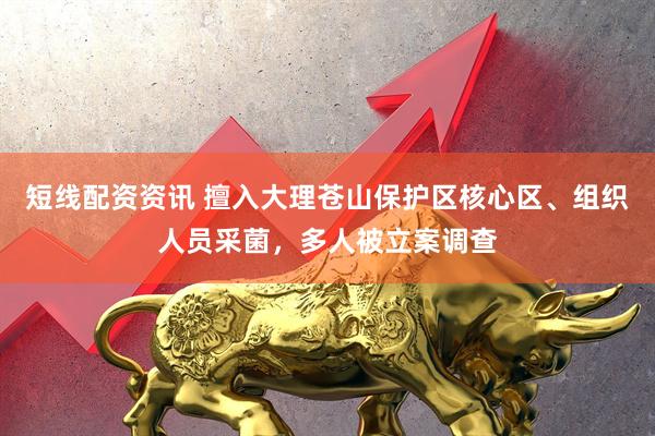 短线配资资讯 擅入大理苍山保护区核心区、组织人员采菌，多人被立案调查